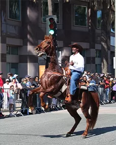 Black History Parade _ Man with horse